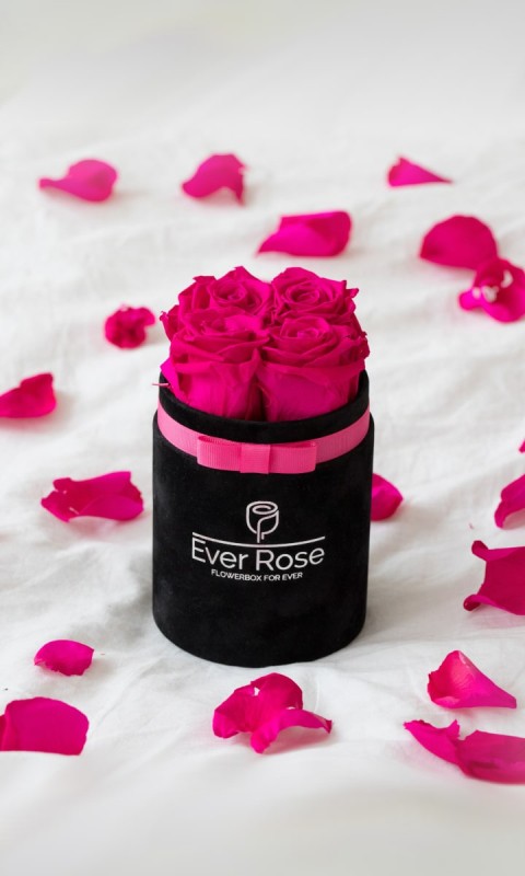 FlowerBox CIEMN. wieczne róże CZARNY WELUR S