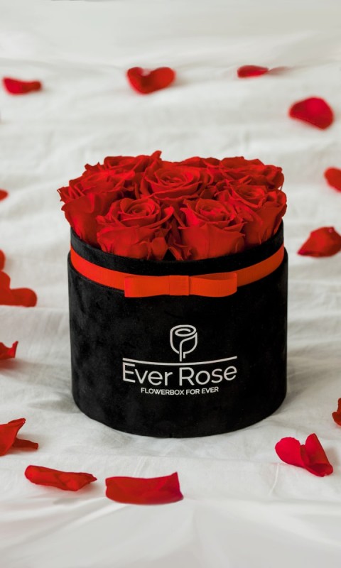 FlowerBox CZERW. wieczne róże CZARNY WELUR M