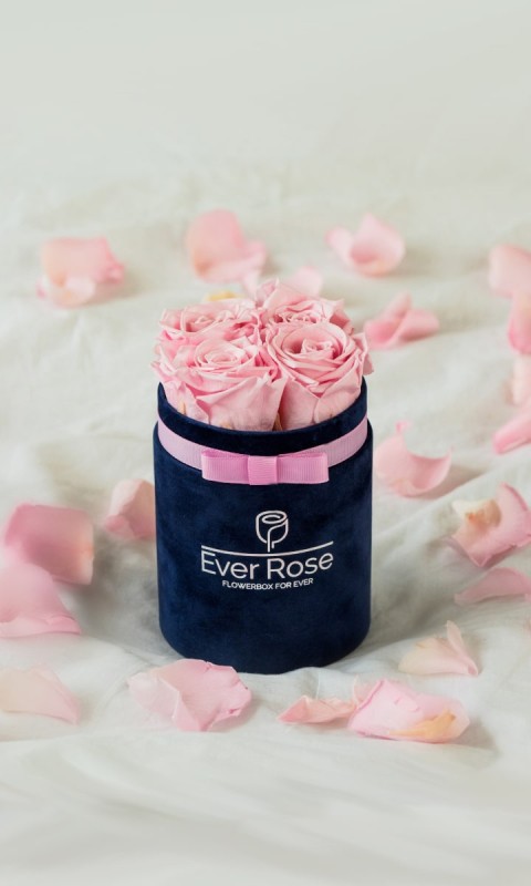 FlowerBox RÓŻOWE wieczne róże GRANAT WELUR S
